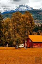 Living Off The Grid With Merlyn Seeley