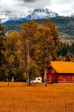 Bertrand.pt - Living Off The Grid With Merlyn Seeley