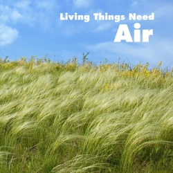 Bertrand.pt - Living Things Need Air