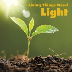 Bertrand.pt - Living Things Need Light