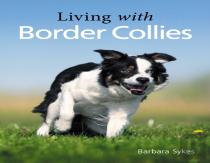 Living With Border Collies