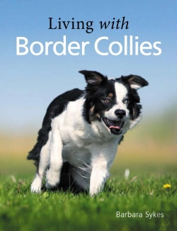 Bertrand.pt - Living With Border Collies