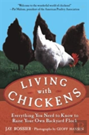 Living With Chickens