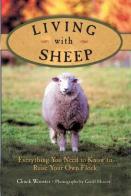 Living With Sheep