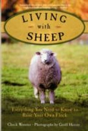 Living With Sheep