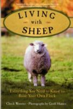 Bertrand.pt - Living With Sheep