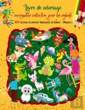Livre De Coloriage Incroyable Collection Pour Les Enfants, 100 Dessins A Colorier Etonnants Et Divers - Volume 1