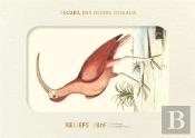 Livre D'Images : Recueil De Divers Oiseaux