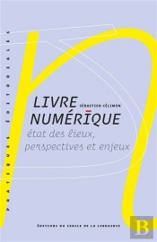Livre Numérique : Etat Des Lieux, Perspectives Et Enjeux