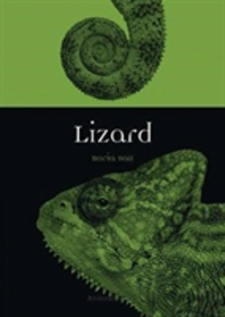 Bertrand.pt - Lizard