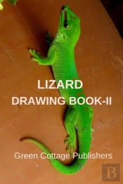 Lizard Drawing Book-Ii