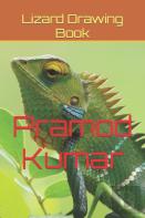 Lizard Drawing Book