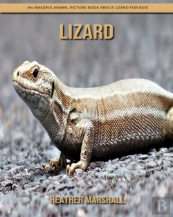 Bertrand.pt - Lizard