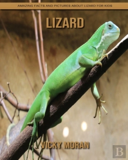 Bertrand.pt - Lizard