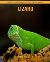 Lizard