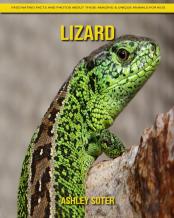 Lizard