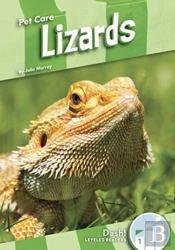 Lizards