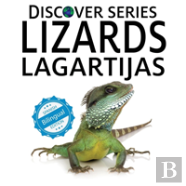 Lizards / Lagartijas