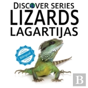 Lizards / Lagartijas