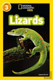 Lizards