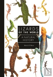 Lizards Of The World
