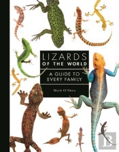 Lizards Of The World