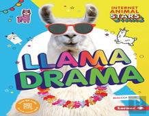 Llama Drama