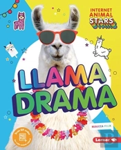 Llama Drama