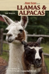 Llamas And Alpacas