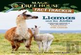 Llamas And The Andes
