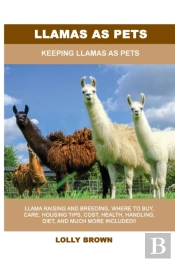 Llamas As Pets