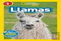Llamas (L1)