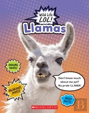 Llamas (Wild Life Lol!)
