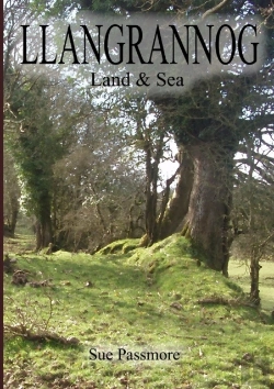 Bertrand.pt - Llangrannog - Land & Sea