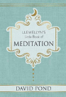 Llewellyn'S Little Book Of Meditation