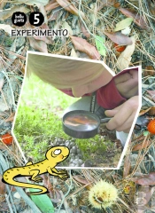 Llibre Experimento 5 Anys. Belluguets