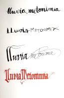 Lluvia Metonimia