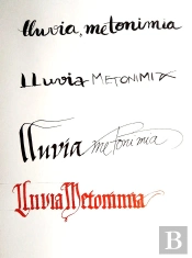 Lluvia Metonimia
