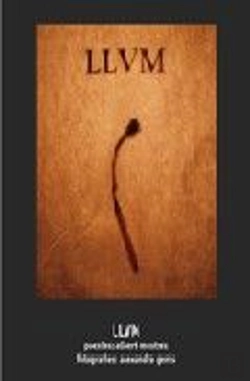 Bertrand.pt - Llvm