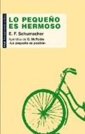 Lo Pequeño Es Hermoso