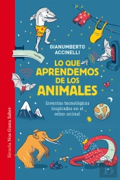 Lo Que Aprendemos De Los Animales