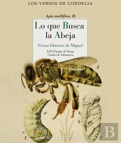 Lo Que Busca La Abeja