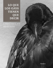 Lo Que Los Ojos Tienen Que Decir