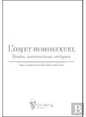 L'Objet Homosexuel ; Études, Constructions, Critiques