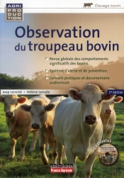 L'Observation Du Troupeau Bovin