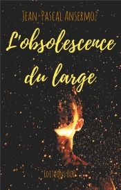 L'Obsolescence Du Large
