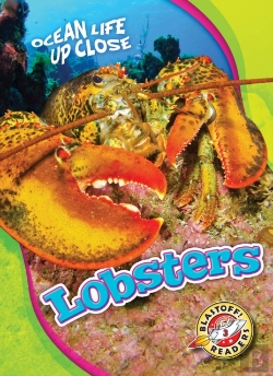 Bertrand.pt - Lobsters