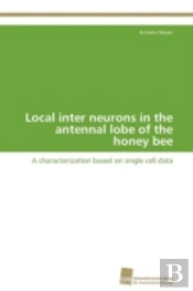 Local Inter Neurons In The Antennal Lobe Of The Honey Bee