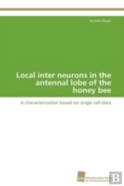 Bertrand.pt - Local Inter Neurons In The Antennal Lobe Of The Honey Bee