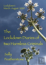 Lockdown Diary